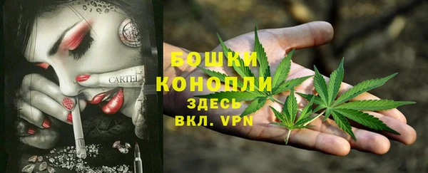 сатива Верхний Тагил