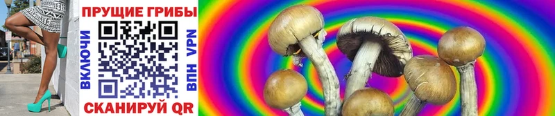 Псилоцибиновые грибы Psilocybine cubensis  кракен зеркало  Пятигорск 