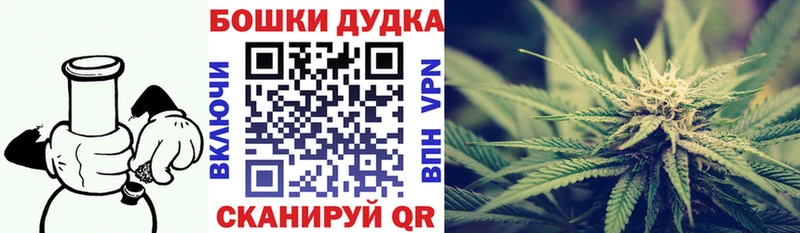 МЕГА рабочий сайт  продажа наркотиков  Пятигорск  Шишки марихуана сатива 
